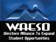 WAESO Interactive